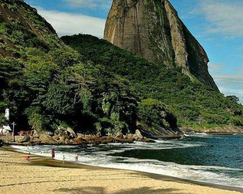 Brazil Pfp