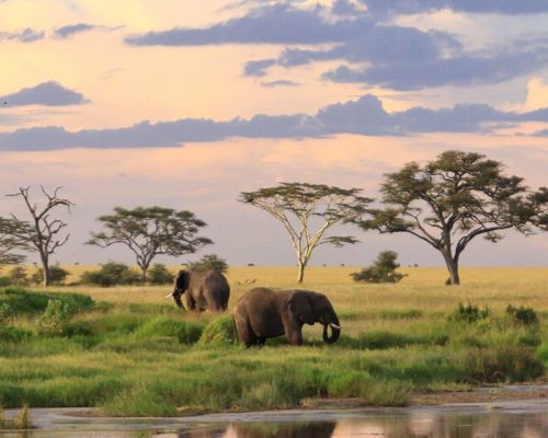 Cape & Kruger Explorer (SOUTH AFRICA)