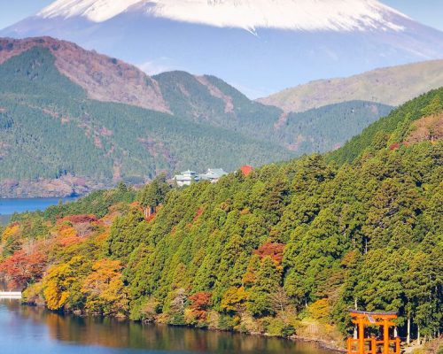 _Japan, Honshu, Fuji-Hakone-Izu National Park_ by Stocksy Contributor _Gavin Hellier_