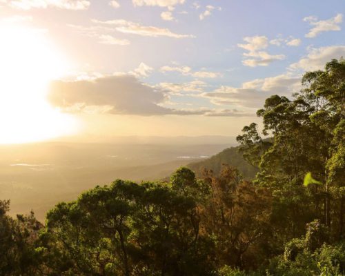 Tamborine Mountain